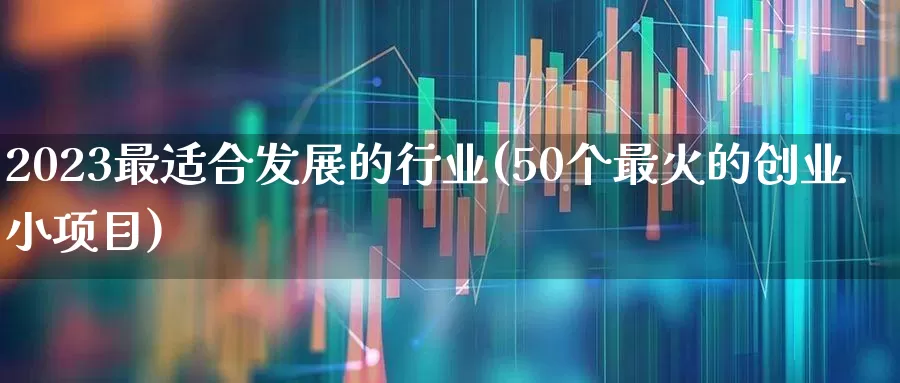 2023最适合发展的行业(50个最火的创业小项目)_https://www.jumanxin.com_北交所_第1张