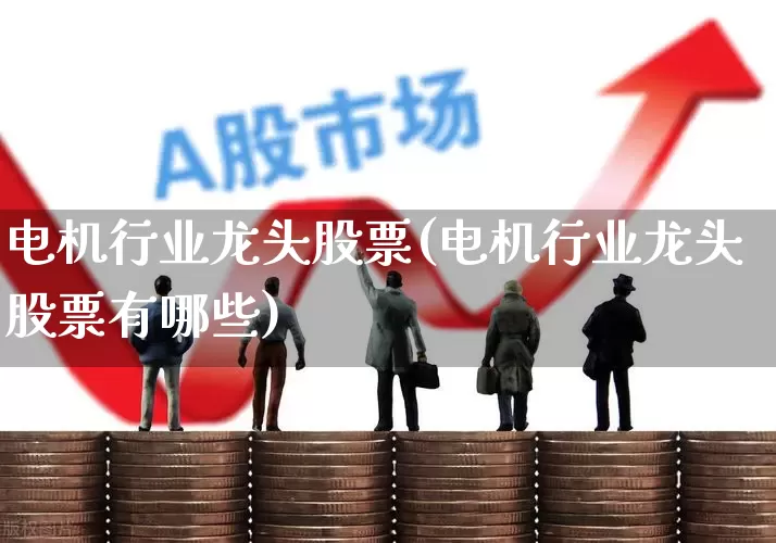 电机行业龙头股票(电机行业龙头股票有哪些)_https://www.jumanxin.com_深交所_第1张