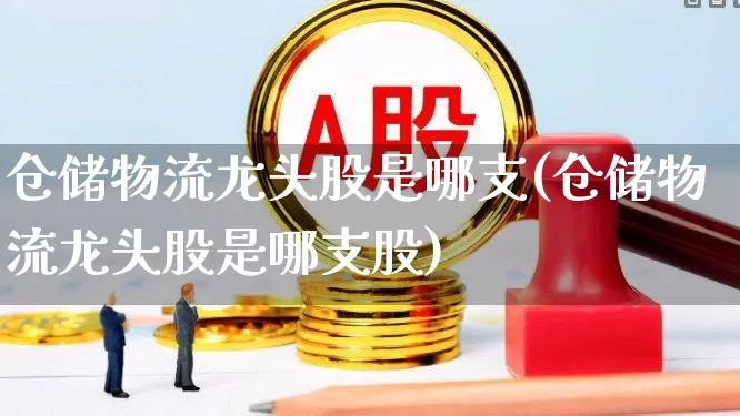 仓储物流龙头股是哪支(仓储物流龙头股是哪支股)_https://www.jumanxin.com_科创板_第1张