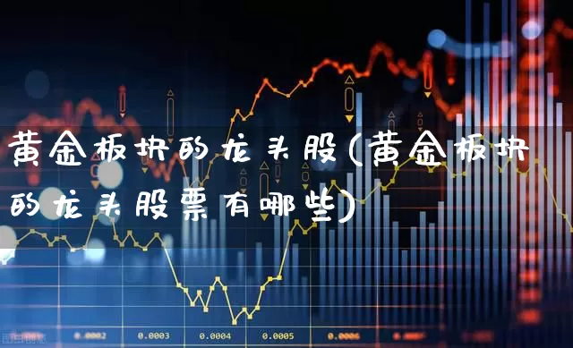 黄金板块的龙头股(黄金板块的龙头股票有哪些)_https://www.jumanxin.com_科创板_第1张