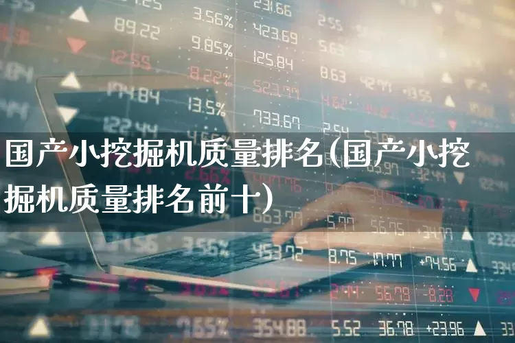 国产小挖掘机质量排名(国产小挖掘机质量排名前十)_https://www.jumanxin.com_深交所_第1张