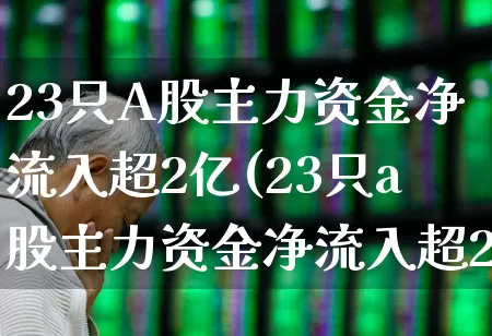 23只A股主力资金净流入超2亿(23只a股主力资金净流入超2亿的股票)_https://www.jumanxin.com_北交所_第1张