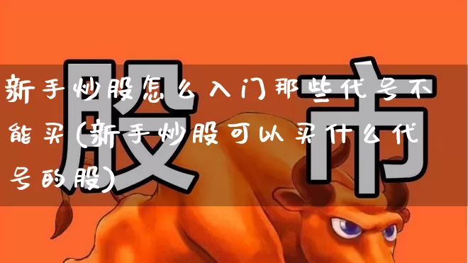 新手炒股怎么入门那些代号不能买(新手炒股可以买什么代号的股)_https://www.jumanxin.com_深交所_第1张