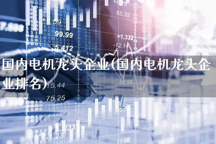 国内电机龙头企业(国内电机龙头企业排名)_https://www.jumanxin.com_上交所_第1张