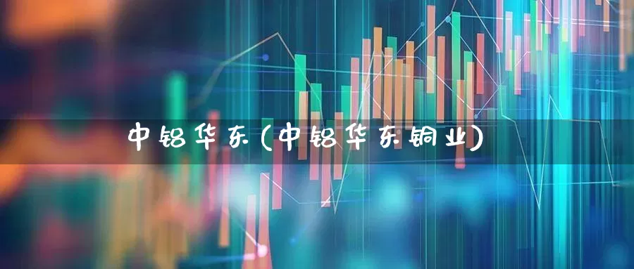 中铝华东(中铝华东铜业)_https://www.jumanxin.com_科创板_第1张