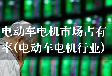 电动车电机市场占有率(电动车电机行业)_https://www.jumanxin.com_科创板_第1张