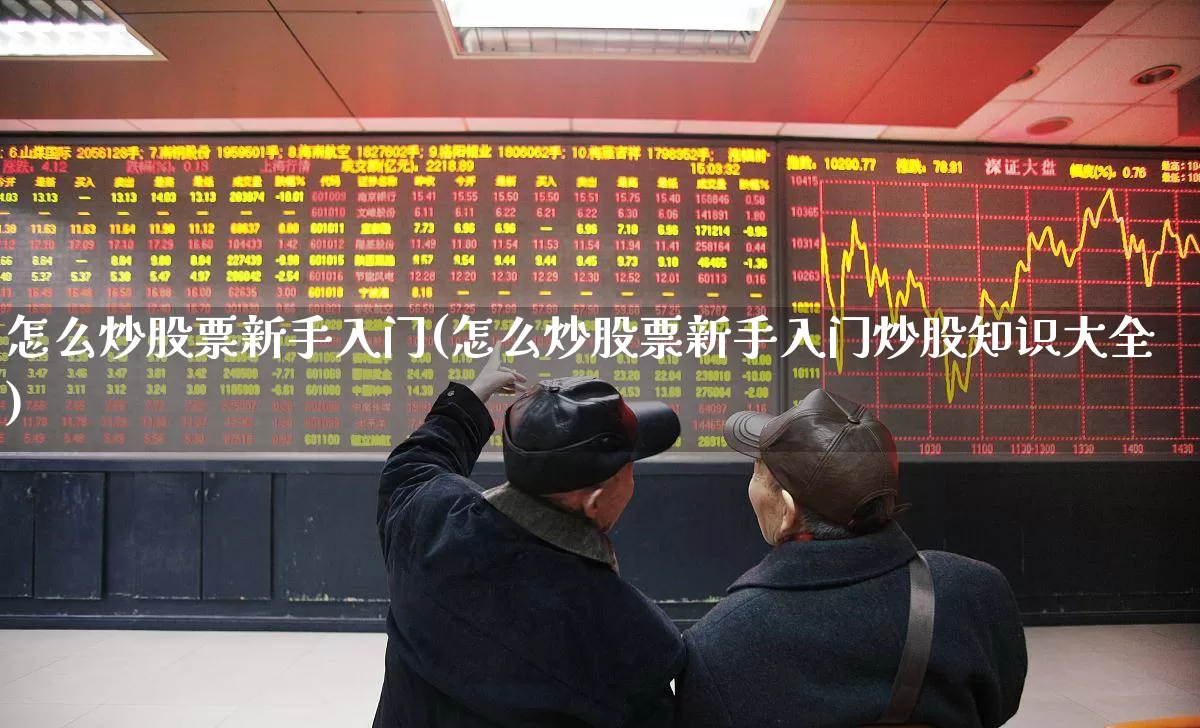 怎么炒股票新手入门(怎么炒股票新手入门炒股知识大全)_https://www.jumanxin.com_科创板_第1张