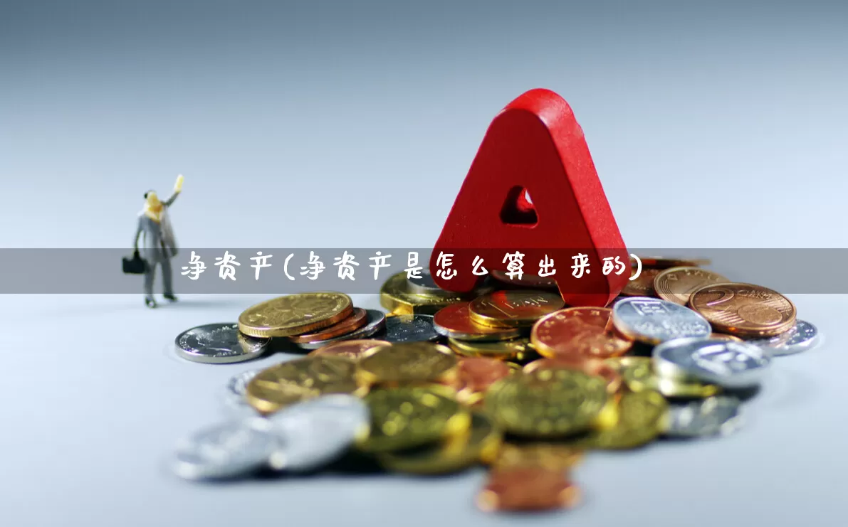 净资产(净资产是怎么算出来的)_https://www.jumanxin.com_创业板_第1张