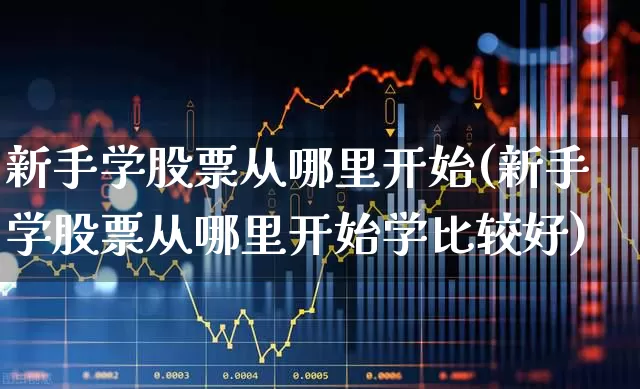 新手学股票从哪里开始(新手学股票从哪里开始学比较好)_https://www.jumanxin.com_北交所_第1张