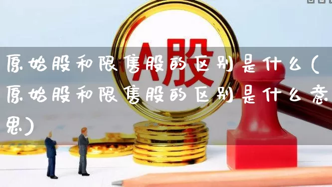 原始股和限售股的区别是什么(原始股和限售股的区别是什么意思)_https://www.jumanxin.com_创业板_第1张