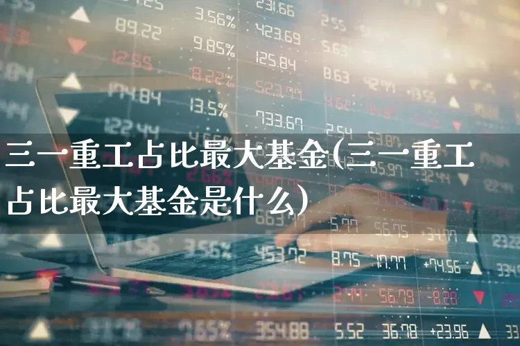 三一重工占比最大基金(三一重工占比最大基金是什么)_https://www.jumanxin.com_创业板_第1张