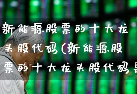 新能源股票的十大龙头股代码(新能源股票的十大龙头股代码是多少)_https://www.jumanxin.com_创业板_第1张
