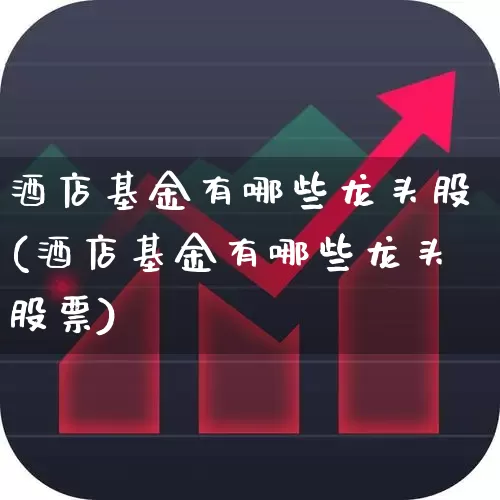 酒店基金有哪些龙头股(酒店基金有哪些龙头股票)_https://www.jumanxin.com_北交所_第1张