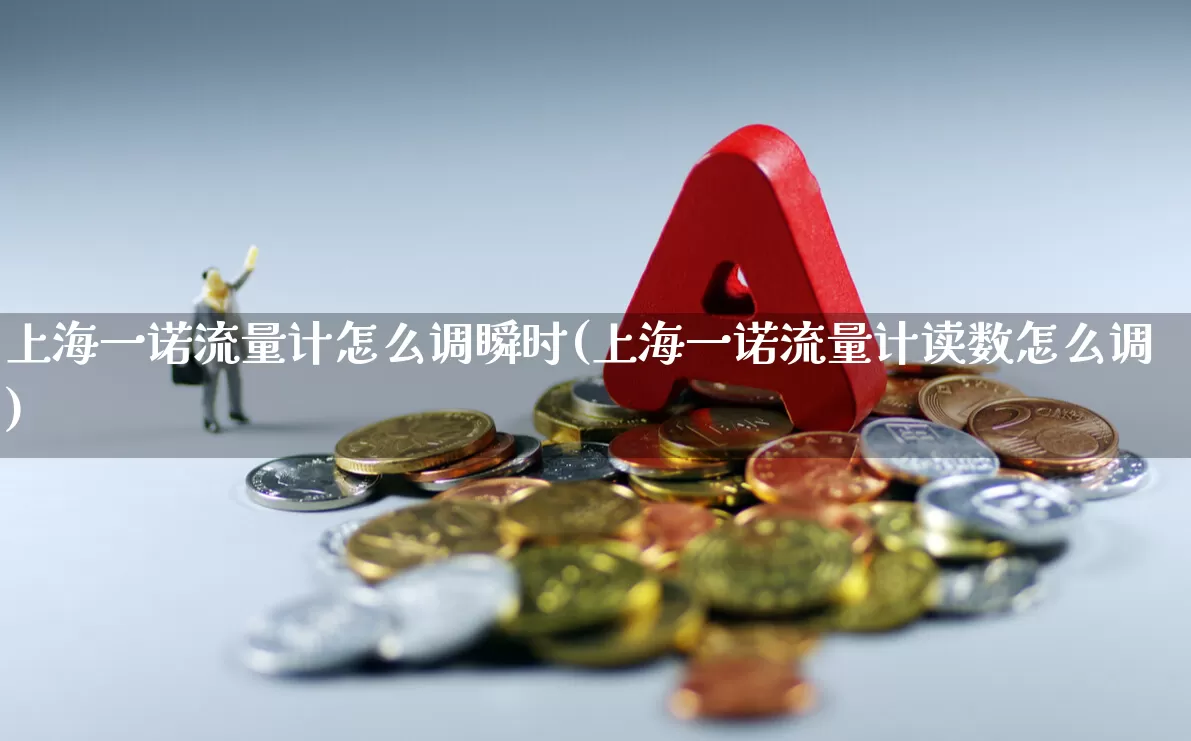 上海一诺流量计怎么调瞬时(上海一诺流量计读数怎么调)_https://www.jumanxin.com_上交所_第1张