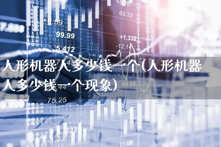 人形机器人多少钱一个(人形机器人多少钱一个现象)_https://www.jumanxin.com_创业板_第1张