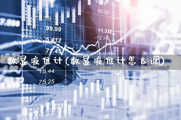 数显液位计(数显液位计怎么调)_https://www.jumanxin.com_北交所_第1张