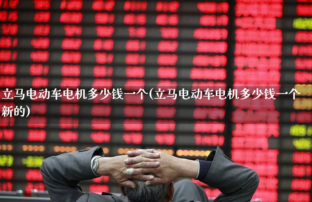 立马电动车电机多少钱一个(立马电动车电机多少钱一个新的)_https://www.jumanxin.com_科创板_第1张