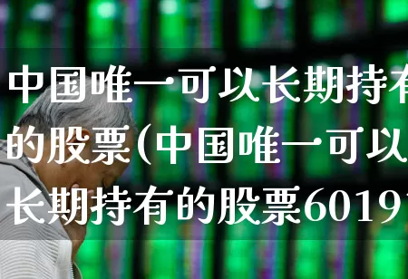 中国唯一可以长期持有的股票(中国唯一可以长期持有的股票601919)_https://www.jumanxin.com_深交所_第1张