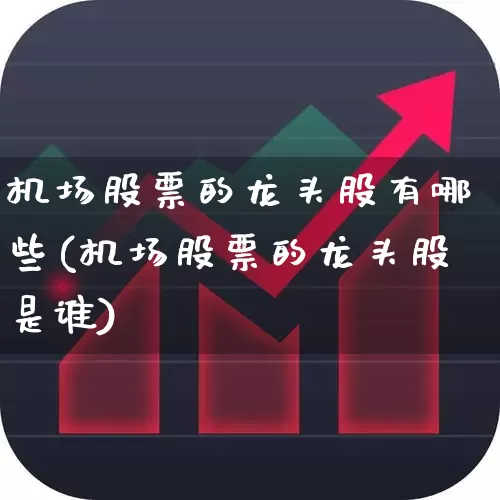 机场股票的龙头股有哪些(机场股票的龙头股是谁)_https://www.jumanxin.com_深交所_第1张