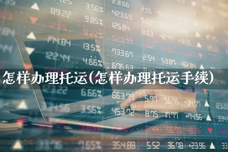 怎样办理托运(怎样办理托运手续)_https://www.jumanxin.com_深交所_第1张