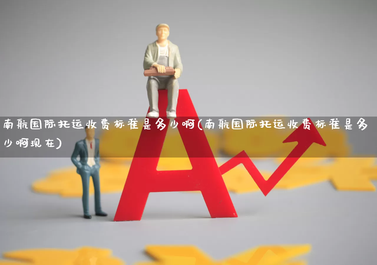 南航国际托运收费标准是多少啊(南航国际托运收费标准是多少啊现在)_https://www.jumanxin.com_上交所_第1张