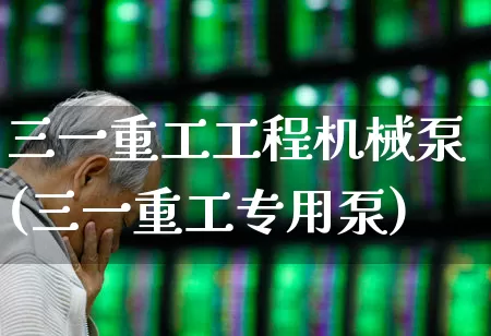 三一重工工程机械泵(三一重工专用泵)_https://www.jumanxin.com_深交所_第1张