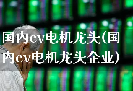 国内ev电机龙头(国内ev电机龙头企业)_https://www.jumanxin.com_深交所_第1张