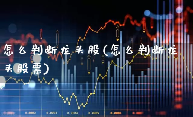 怎么判断龙头股(怎么判断龙头股票)_https://www.jumanxin.com_上交所_第1张