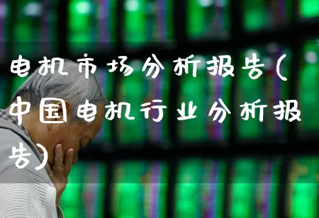 电机市场分析报告(中国电机行业分析报告)_https://www.jumanxin.com_北交所_第1张