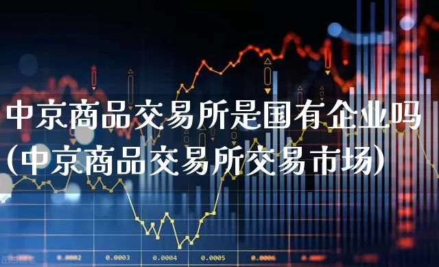 中京商品交易所是国有企业吗(中京商品交易所交易市场)_https://www.jumanxin.com_科创板_第1张