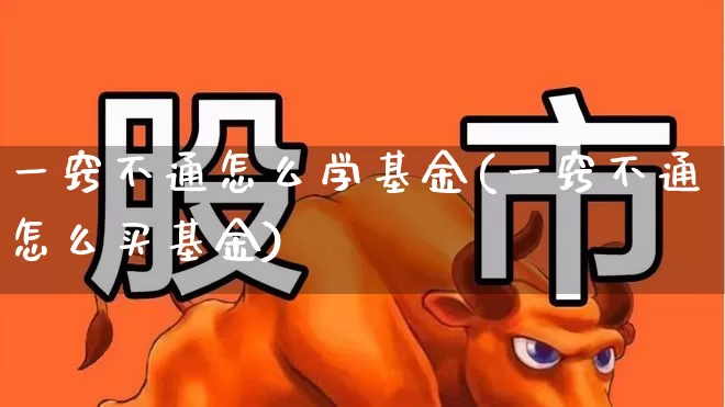 一窍不通怎么学基金(一窍不通怎么买基金)_https://www.jumanxin.com_上交所_第1张