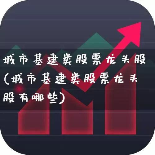 城市基建类股票龙头股(城市基建类股票龙头股有哪些)_https://www.jumanxin.com_深交所_第1张