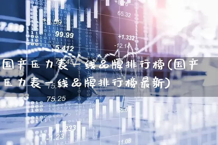 国产压力表一线品牌排行榜(国产压力表一线品牌排行榜最新)_https://www.jumanxin.com_北交所_第1张