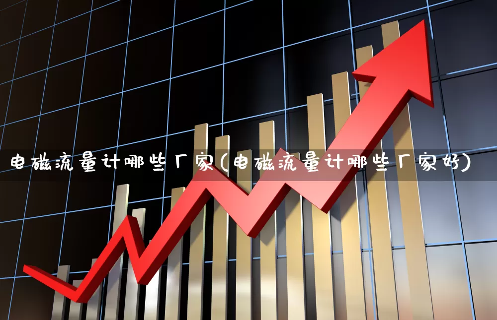 电磁流量计哪些厂家(电磁流量计哪些厂家好)_https://www.jumanxin.com_创业板_第1张