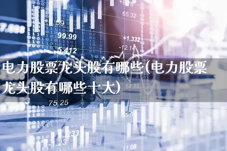 电力股票龙头股有哪些(电力股票龙头股有哪些十大)_https://www.jumanxin.com_北交所_第1张