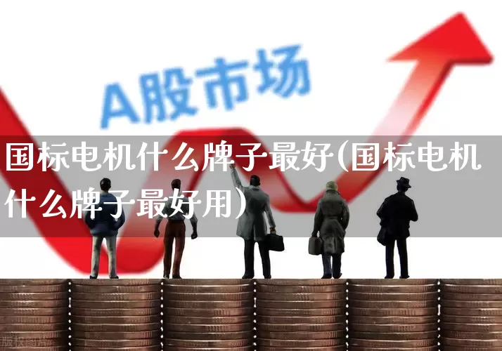 国标电机什么牌子最好(国标电机什么牌子最好用)_https://www.jumanxin.com_深交所_第1张