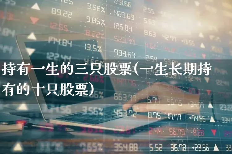 持有一生的三只股票(一生长期持有的十只股票)_https://www.jumanxin.com_科创板_第1张