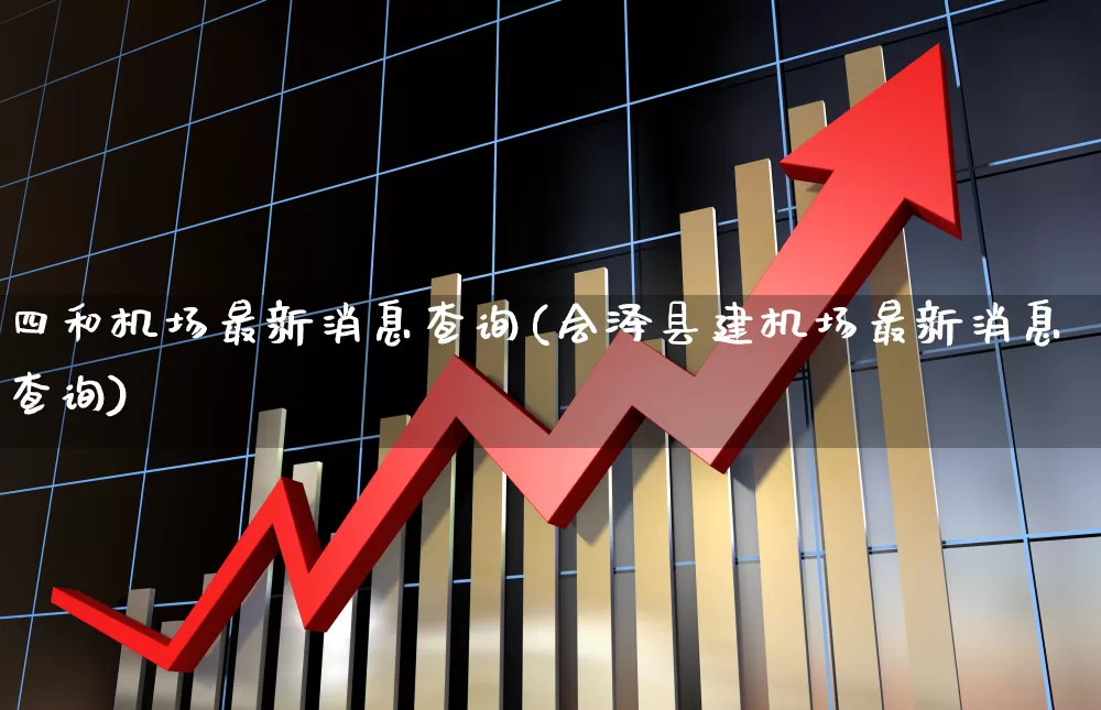 四和机场最新消息查询(会泽县建机场最新消息查询)_https://www.jumanxin.com_深交所_第1张