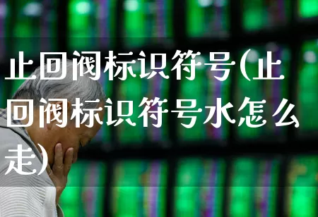 止回阀标识符号(止回阀标识符号水怎么走)_https://www.jumanxin.com_科创板_第1张