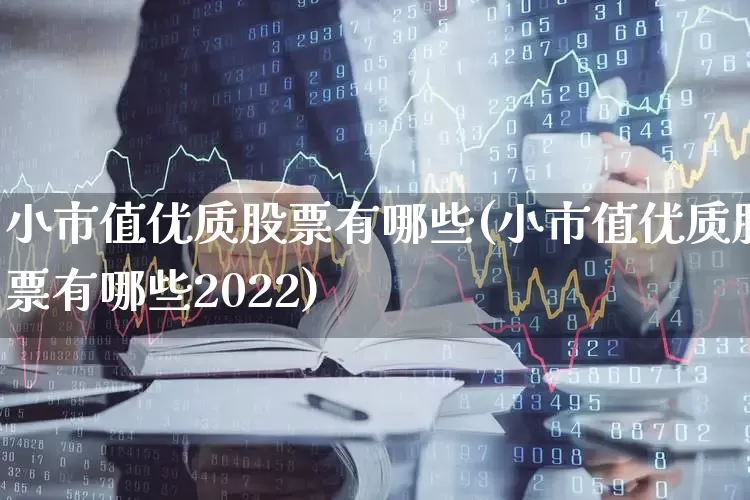 小市值优质股票有哪些(小市值优质股票有哪些2022)_https://www.jumanxin.com_深交所_第1张