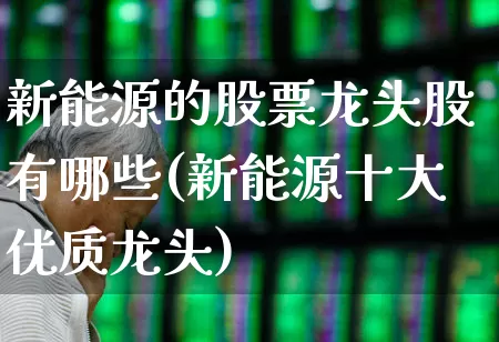 新能源的股票龙头股有哪些(新能源十大优质龙头)_https://www.jumanxin.com_科创板_第1张