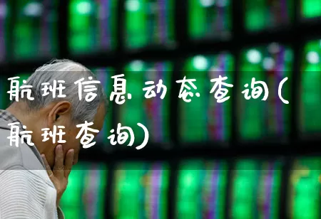 航班信息动态查询(航班查询)_https://www.jumanxin.com_上交所_第1张
