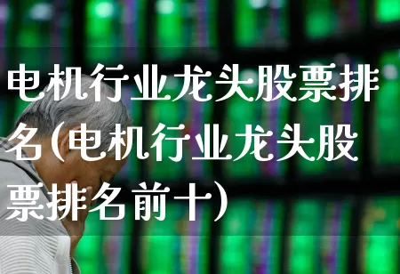 电机行业龙头股票排名(电机行业龙头股票排名前十)_https://www.jumanxin.com_科创板_第1张