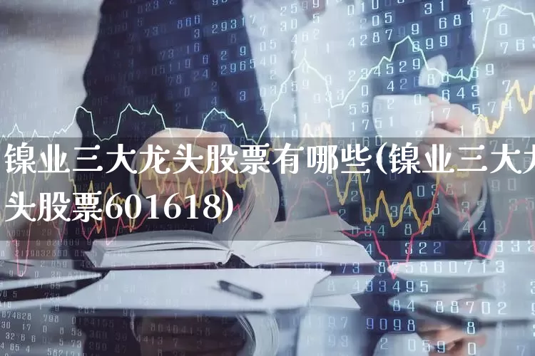 镍业三大龙头股票有哪些(镍业三大龙头股票601618)_https://www.jumanxin.com_北交所_第1张