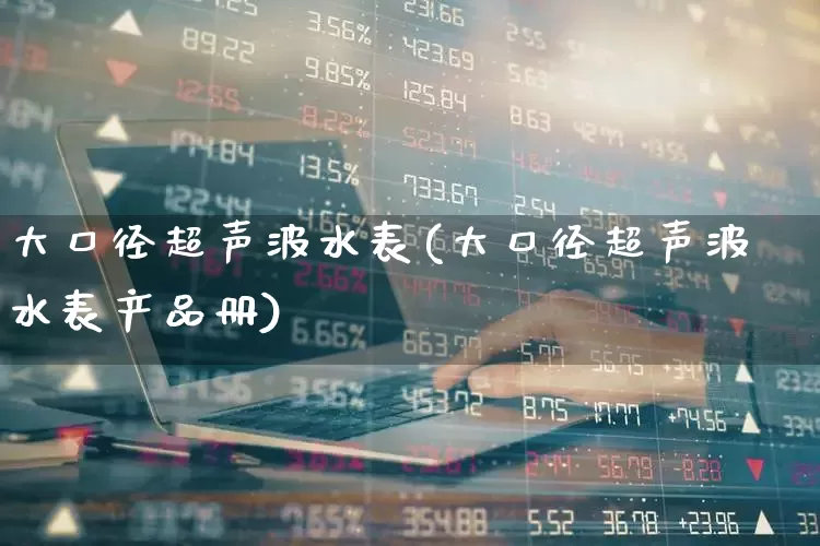 大口径超声波水表(大口径超声波水表产品册)_https://www.jumanxin.com_深交所_第1张