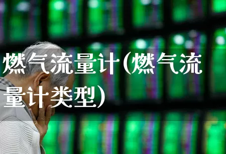 燃气流量计(燃气流量计类型)_https://www.jumanxin.com_北交所_第1张