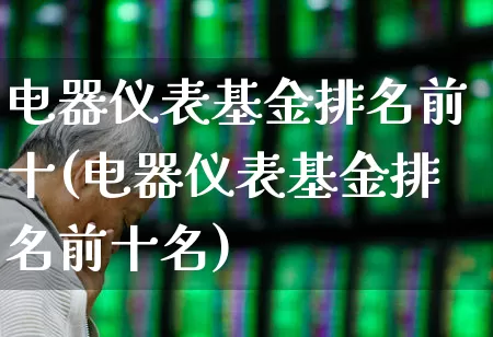 电器仪表基金排名前十(电器仪表基金排名前十名)_https://www.jumanxin.com_科创板_第1张