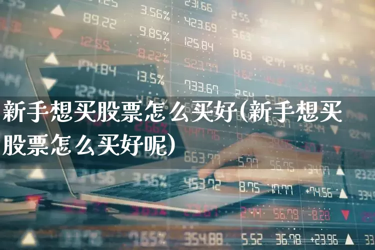 新手想买股票怎么买好(新手想买股票怎么买好呢)_https://www.jumanxin.com_深交所_第1张