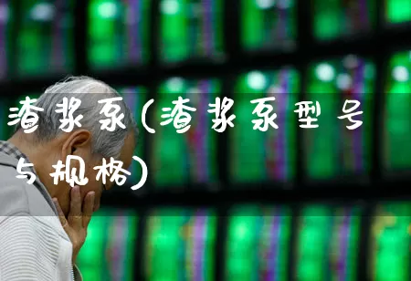 渣浆泵(渣浆泵型号与规格)_https://www.jumanxin.com_深交所_第1张