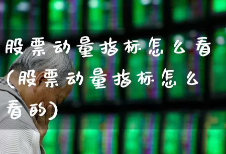 股票动量指标怎么看(股票动量指标怎么看的)_https://www.jumanxin.com_北交所_第1张